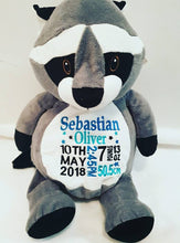 Raccoon Teddy