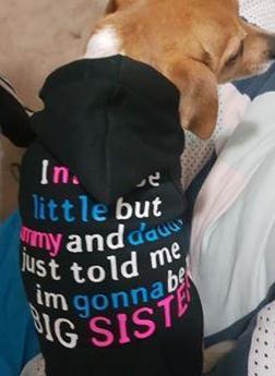 Dog Personalized Tops