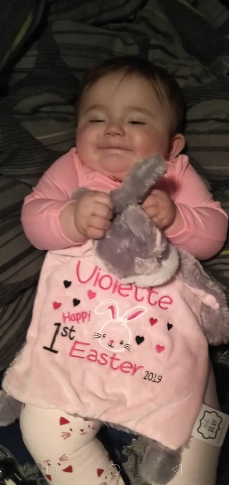Pink Bunny Comforter