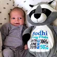 Raccoon Teddy