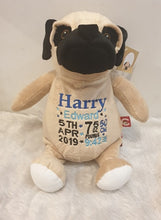 Pug the Dog