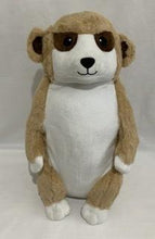Meerkat Teddy