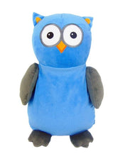 Hooty Lou the blue/grey Owl