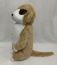 Meerkat Teddy