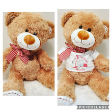 teddy bear with custom t-shirt