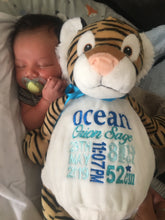 Tiger Bear