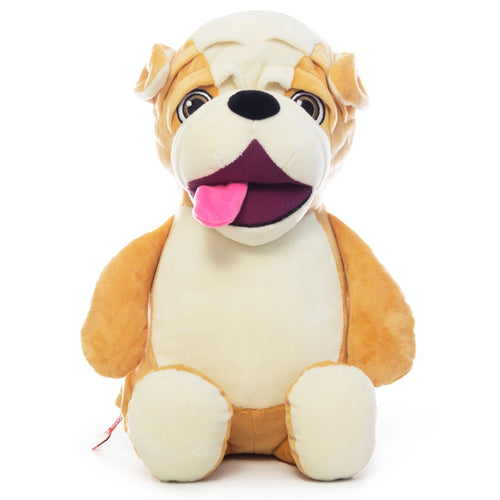 Bulldog teddy