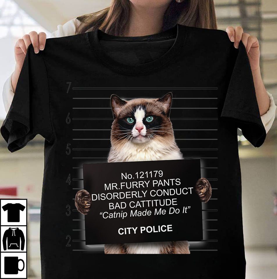 Wanted Cat