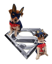 Dog Superhero Costume
