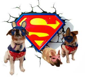 Dog Superhero Costume