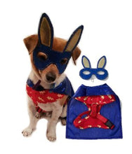 Dog Superhero Costume