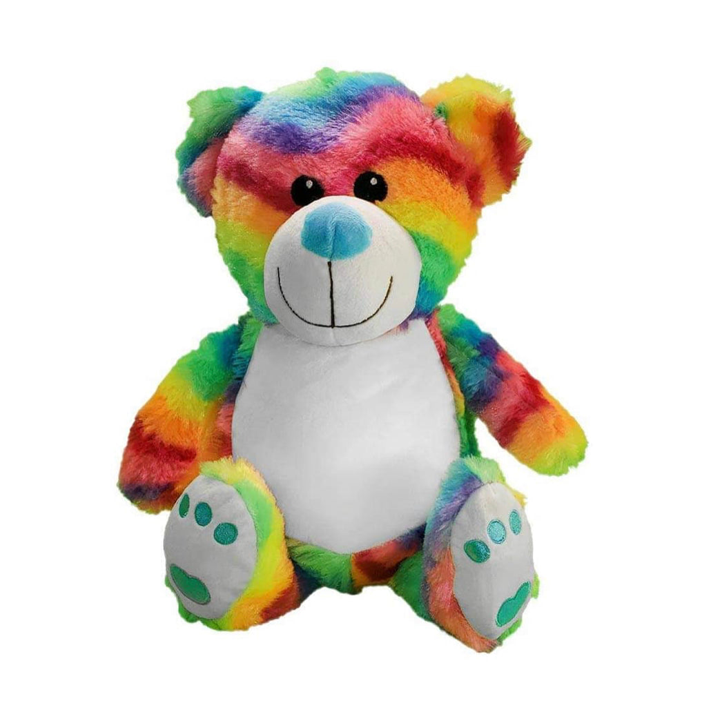 Rainbow colourful Bear.