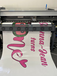 Cocomelon birthday banner/backdrop