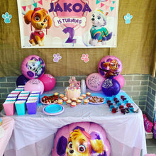 Skye paw patrol  Custom Party Pack