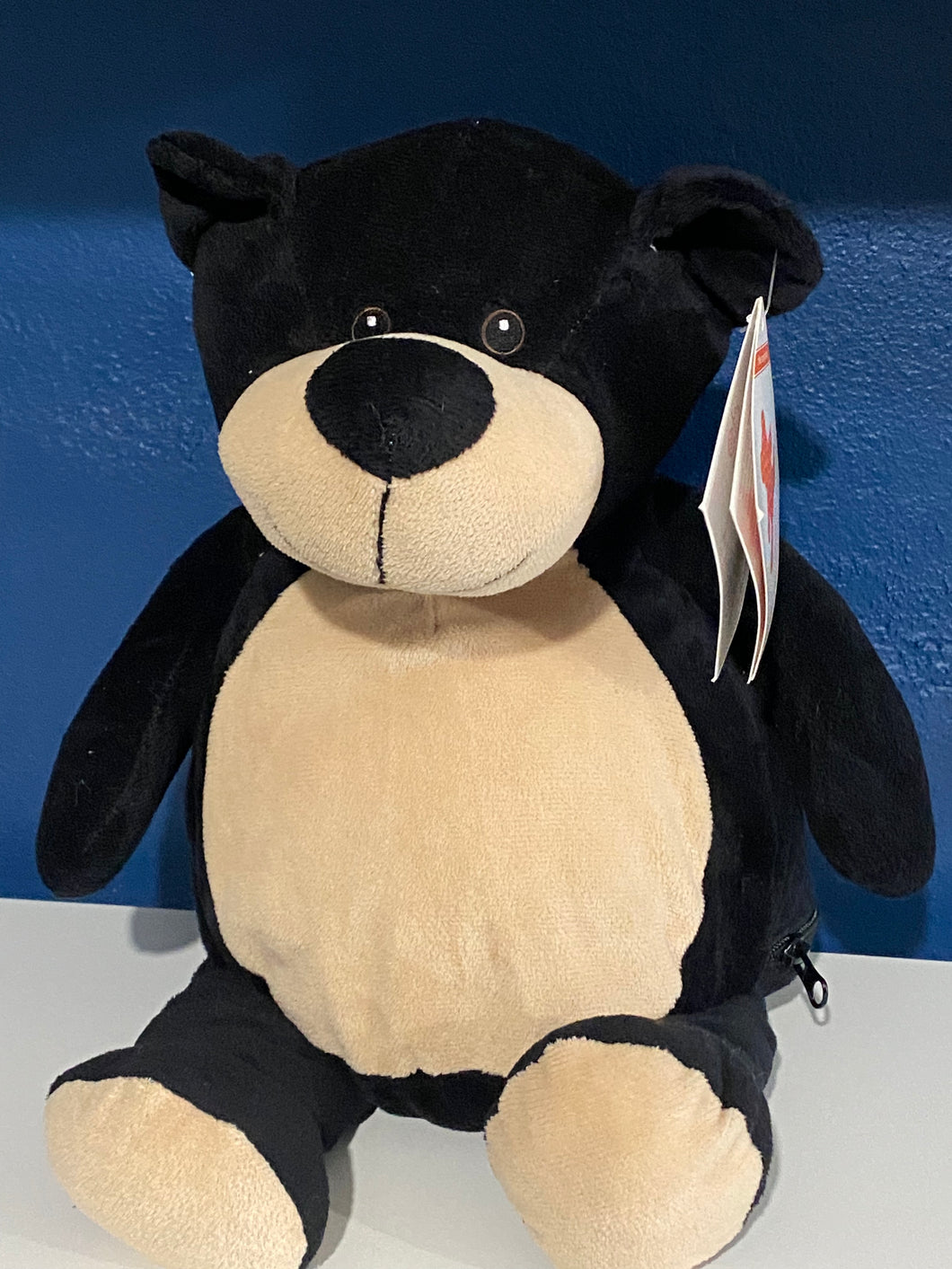 Black bear  Teddy