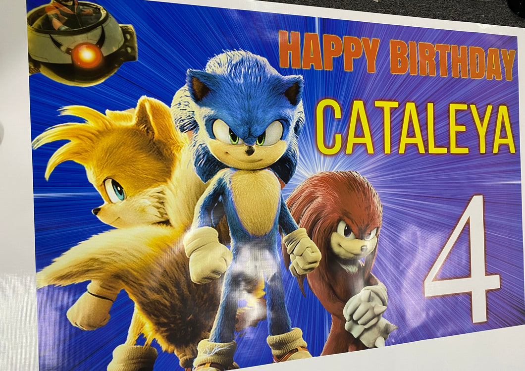 Sonic birthday banner/backdrop