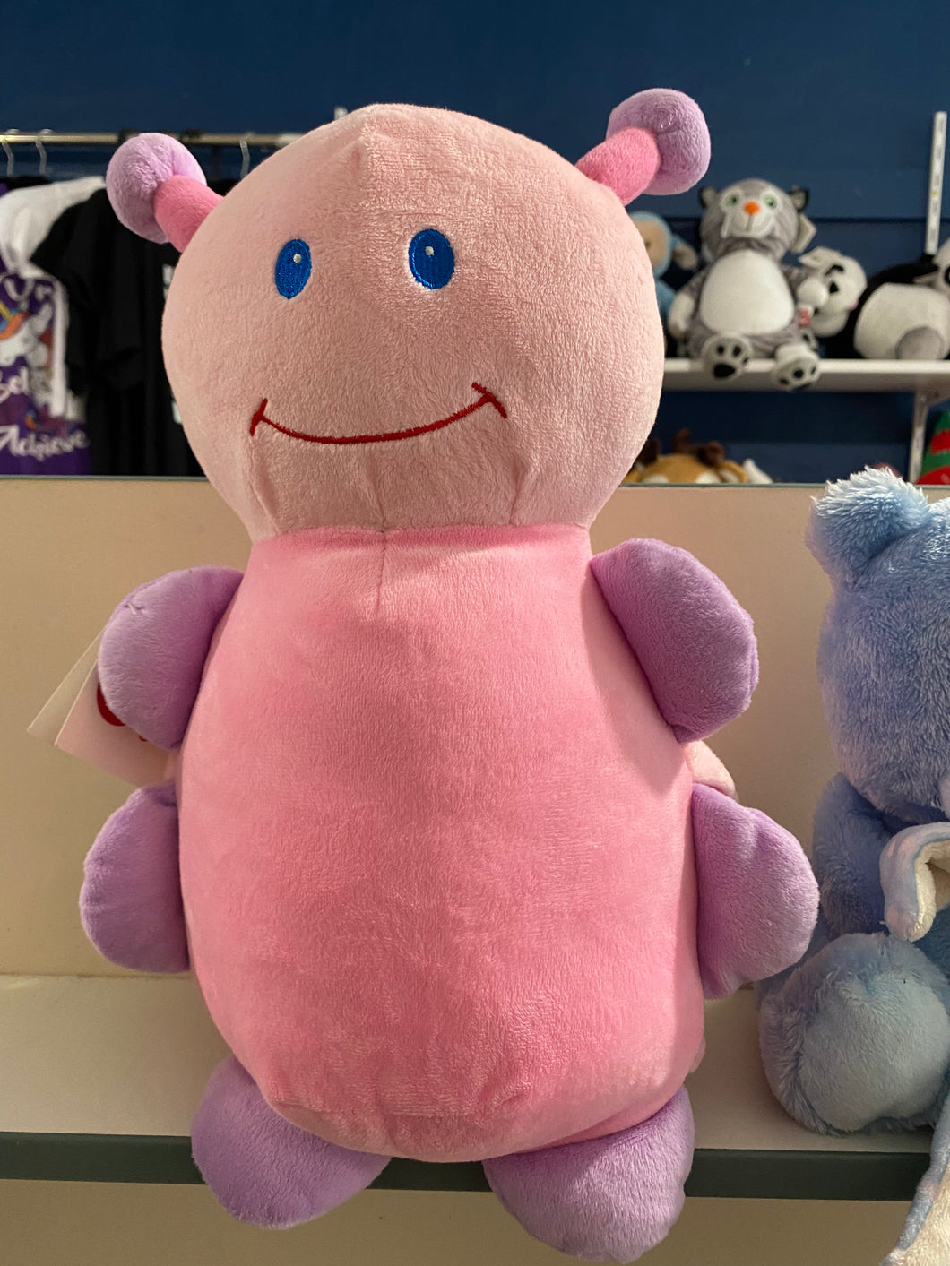 Pink butterfly Teddy