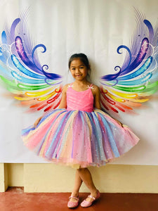 Rainbow wings backdrop vinyl banner