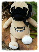 Pug the Dog