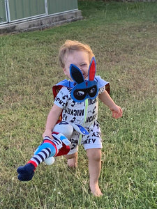 Super Hero Bunny