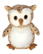 EB Calra the Owl