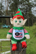 Christmas Elf Bear